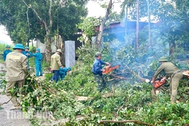 Khẩn trương bàn giao “mặt bằng sạch” dự án cầu Đá Đen