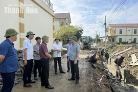 Kiên quyết xử lý theo quy định đối với nhà thầu không bảo đảm năng lực thực hiện dự án