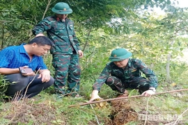Đồi nứt 600m, xã Trung Hạ đề xuất tái định cư cho người dân