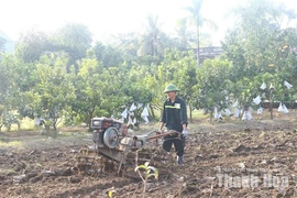 Lấy phát triển kinh tế&nbsp;làm “đòn bẩy”