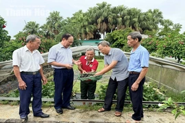 Chủ động chăm sóc, phát huy vai trò người cao tuổi trong xu hướng già hóa dân số