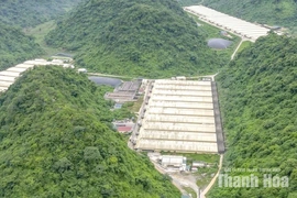 Những khoảng trống phía sau trang trại quy mô lớn