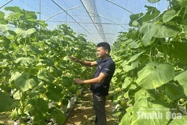 Doanh nhân trẻ với phong trào khởi nghiệp đổi mới sáng tạo