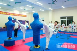 Sức trẻ vươn cao