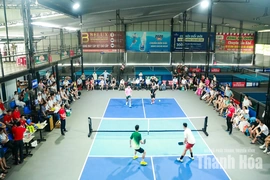 Lần thứ hai tổ chức Giải Pickleball họ Trần tỉnh Thanh Hóa
