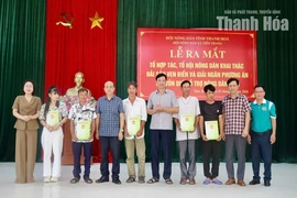 Ra mắt Tổ hợp tác, Tổ hội Nông dân khai thác hải sản ven biển xã Tiên Trang