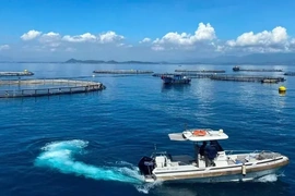Khai mở không gian phát triển mới