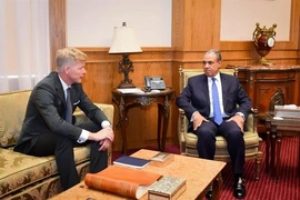 Ai Cập nhấn mạnh vai trò của ổn định Yemen đối với Biển Đỏ