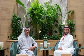 Lãnh đạo Saudi Arabia, UAE thảo luận tình hình Yemen và khu vực