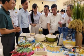 Thanh Hóa bàn giải pháp phát triển nông sản chủ lực hướng tới xuất khẩu