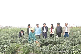 Lựa chọn người tài, đức - nhiệm vụ “then chốt” của then chốt