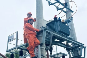 Đón gió vươn cao (Bài 2): “Cánh chim” vượt gió...