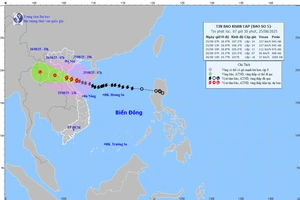 Dự báo 19h hôm nay, bão số 5 vào đất liền Thanh Hóa - Hà Tĩnh