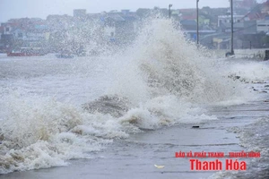 Bão số 5 ít di chuyển, cường độ giảm