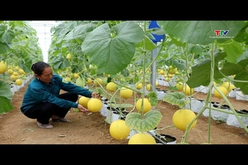 Giảm nghèo thông tin - Giải pháp giảm nghèo bền vững ở xã Thọ Bình