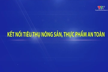 Phóng sự: Kết nối, tiêu thụ nông sản thực phẩm an toàn