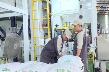 6 tháng năm 2026, cả nước xuất khẩu gạo đạt trên 2,3 tỷ USD