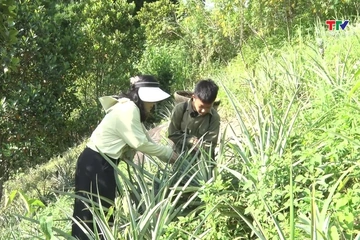 Ký sự miền sơn cước ngày 3/7/2026