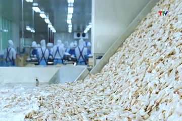 Xuất khẩu thủy sản Việt Nam tăng tốc, hướng tới mốc 12 tỷ USD