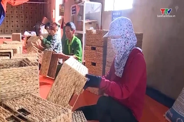 Hợp tác xã phi nông nghiệp phát triển bền vững