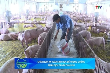 Bản tin Nông nghiệp - Nông thôn ngày 08/7/2026