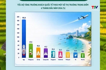 Du lịch Việt Nam tăng trưởng tích cực trong 6 tháng đầu năm 2026