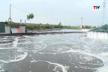 Thúc đẩy chuyển đổi số, ứng dụng công nghệ cao trong nuôi tôm bền vững