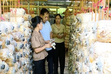 Xã Thành Vinh phát huy lợi thế để giảm nghèo bền vững