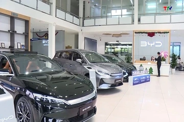 Thị trường ô tô Việt Nam phục hồi mạnh mẽ trong 6 tháng đầu năm