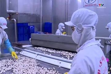 Xuất khẩu thủy sản tăng trưởng ấn tượng