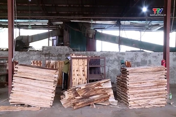 Xuất khẩu gỗ góp sức giữ đà tăng trưởng hai con số 