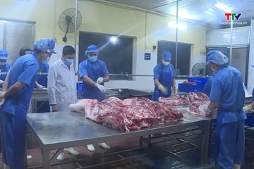 Tăng cường kiểm soát vận chuyển, giết mổ gia súc gia cầm