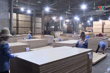 Hỗ trợ doanh nghiệp, hộ kinh doanh tận dụng FTA