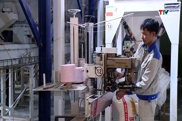 Doanh nghiệp xuất khẩu gạo sẽ được xếp loại tín nhiệm