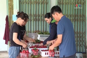 Đơn giản hóa cấp mã số vùng trồng, tạo thuận lợi cho xuất khẩu nông sản