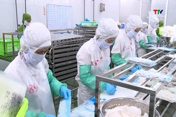 Ngành thủy sản cần bứt phá để chinh phục mục tiêu xuất khẩu