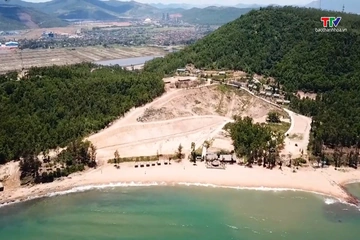 Vể với biển