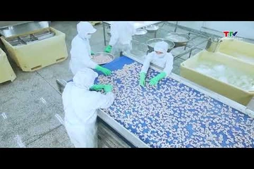 Xuất khẩu tôm sang thị trường Trung Quốc tăng mạnh 