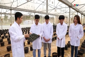 Nhiệm vụ, cơ cấu tổ chức mới của Bộ Giáo dục và Đào tạo 