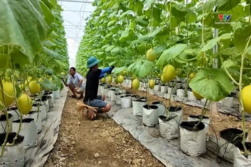 Cơ hội cho nông sảnViệt Nam tại thị trường Halal