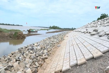 Tăng tốc thi công tuyến đê hữu sông Mã đoạn qua phường Quảng Phú