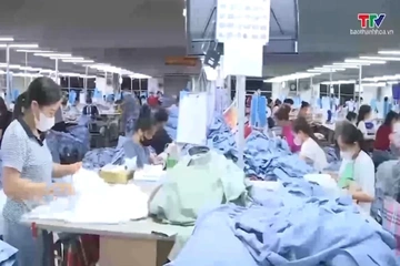 Thống nhất mức tăng lương tối thiểu vùng 7,8% từ 1/1/2027
