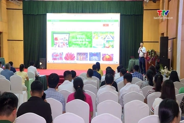 Đưa nông sản an toàn lên nền tảng số, mở rộng kết nối thị trường