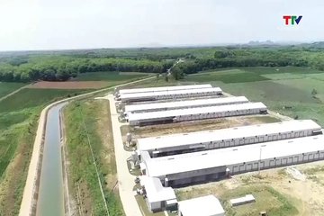 Việt Nam mở rộng cơ hội đầu tư phát triển chăn nuôi bền vững