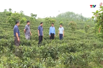 Thanh Hóa phấn đấu tích tụ thêm 50.000 ha đất nông nghiệp