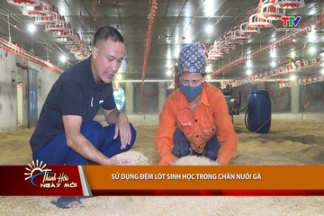 Thanh Hóa ngày mới 26/7/2026
