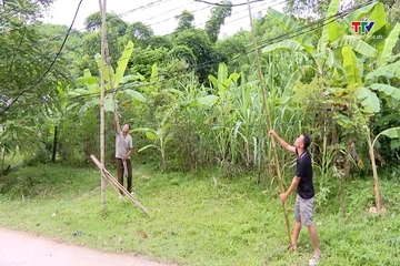 Đường điện sát đất khiến hơn 20 hộ dân lo mất an toàn mùa mưa bão