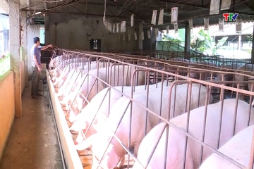 Xóa bỏ rào cản trong lĩnh vực chăn nuôi và thú y