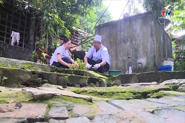 Chủ động phòng, chống dịch bệnh mùa mưa bão