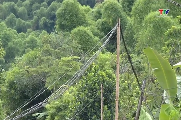 Đường điện sát đất khiến hơn 20 hộ dân lo mất an toàn mùa mưa bão